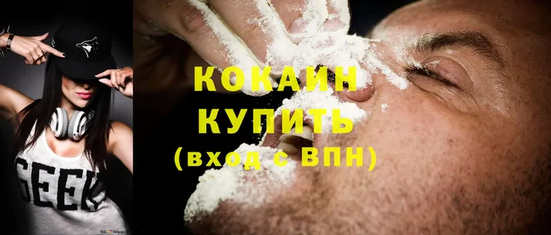 цена наркотик  Каменногорск  Cocaine VHQ 